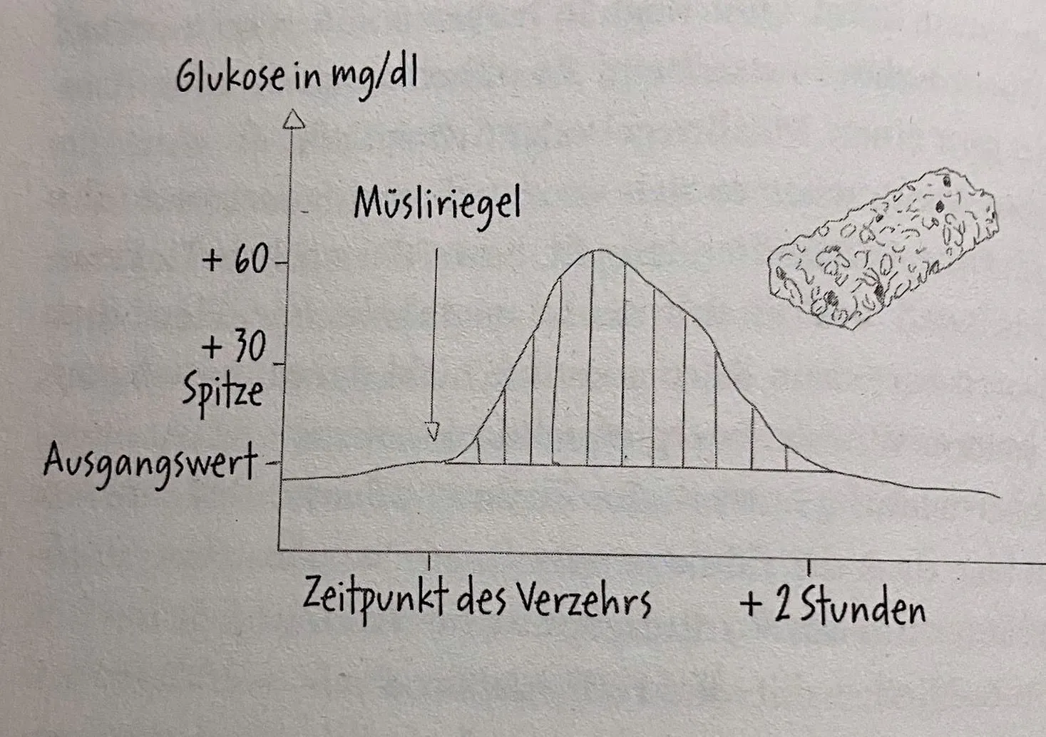 The glucose curve after eating a muesli bar