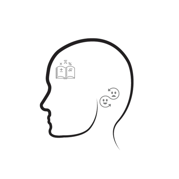 The limbic system and prefrontal cortex